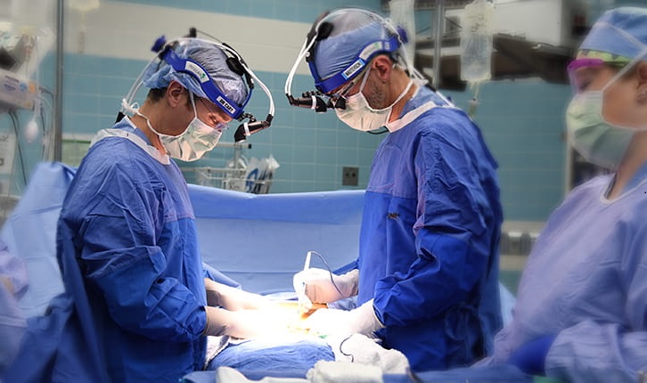 Imagen: En pacientes adecuados, las tasas de curación del cáncer testicular son excelentes con cirugía abierta (foto cortesía de la Facultad de Medicina de la IU)